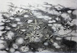 「木漏れ日」県展