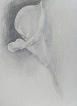 シルバーポイント