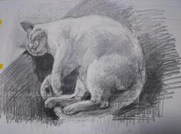 「おひるね」下図